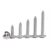 Stainless Steel Cross Big Head Self-tapping Screw Mushroom-shaped Haircut Round Head
